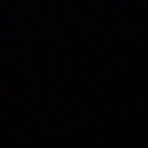 Meet your Posher, Regan